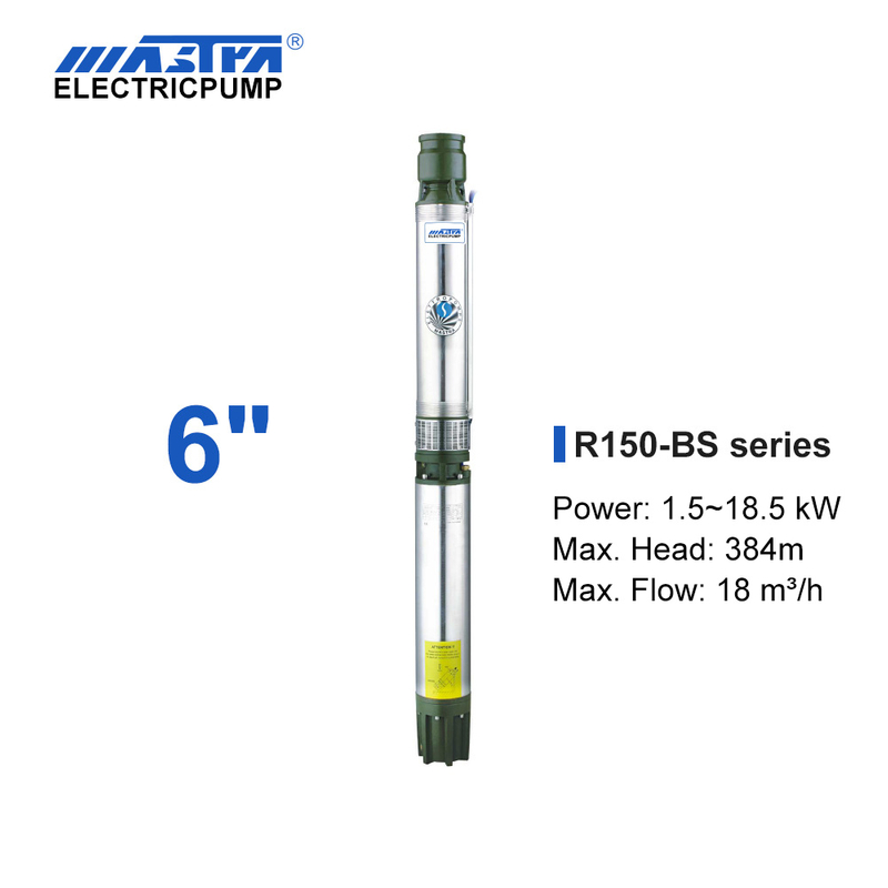 6-дюймовый погружной насос Mastra - серия R150-BS